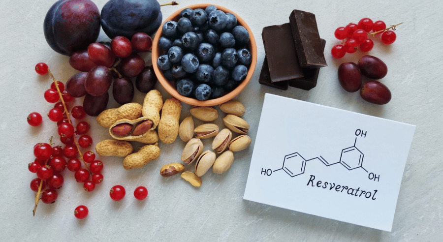 Sirtuiny – strażnicy Twojego metabolizmu.  Jak codzienne wybory wpływają na ich aktywność?