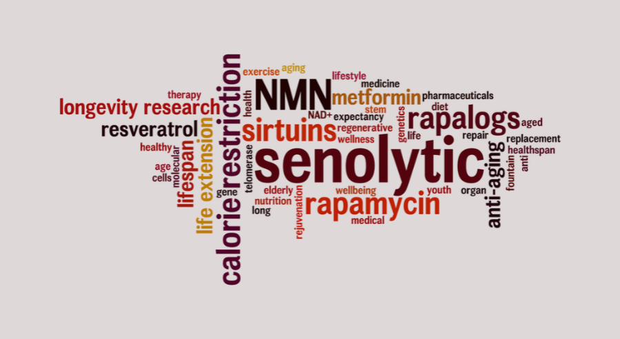 Czym są sirtuiny i dlaczego są tak ważne dla zdrowego starzenia?